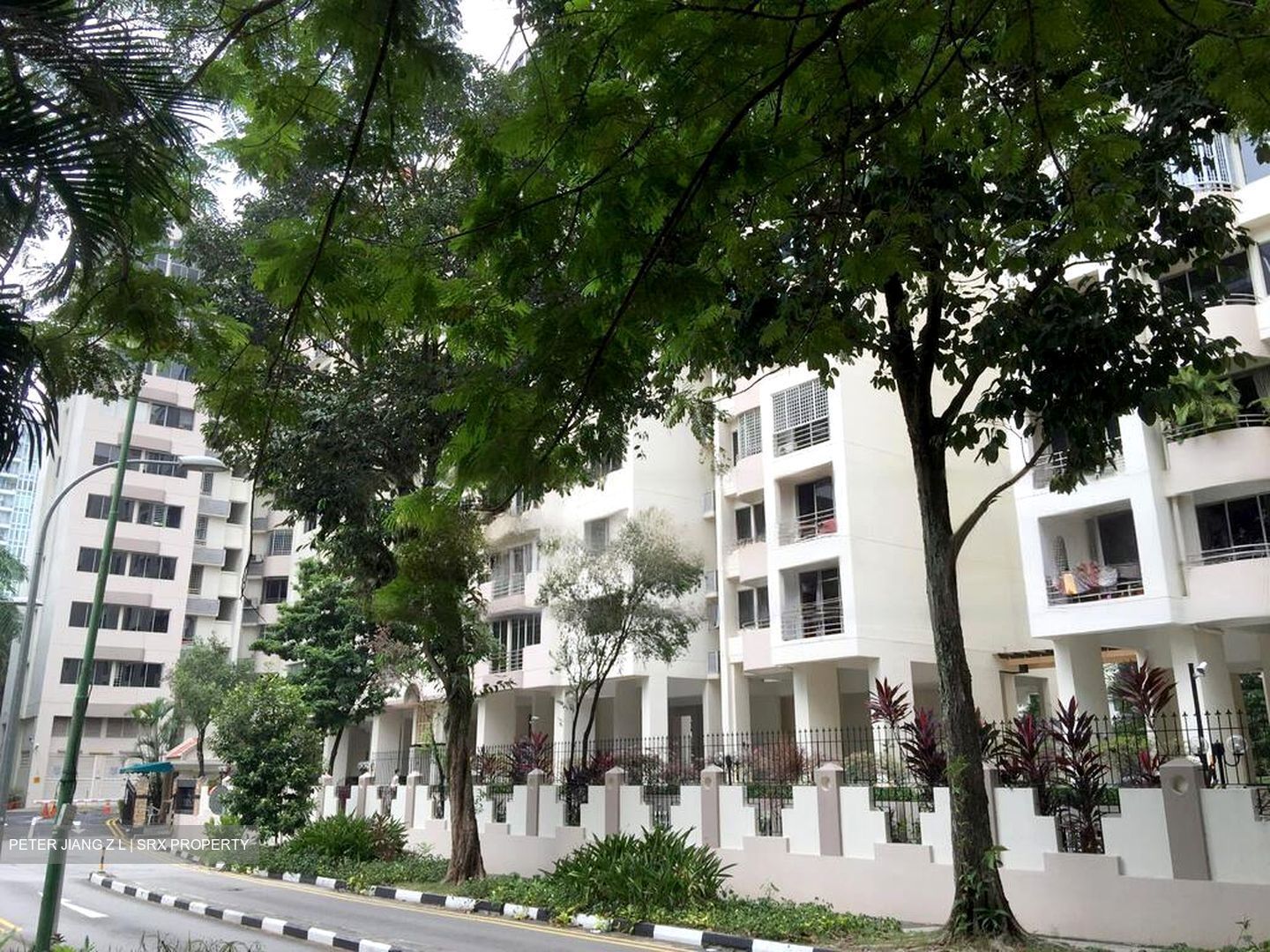 Ritz Mansion (D12), Apartment #463213041